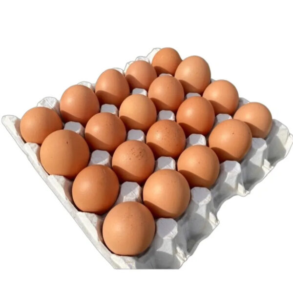 Tray of Eggs 20
