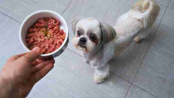 Chicken Pet Mince 10KG FOR $60