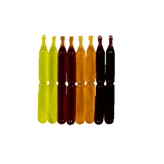 Ice Pops