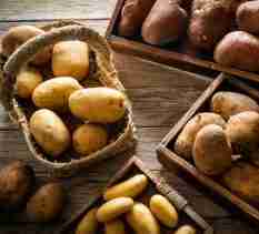 Potatoes