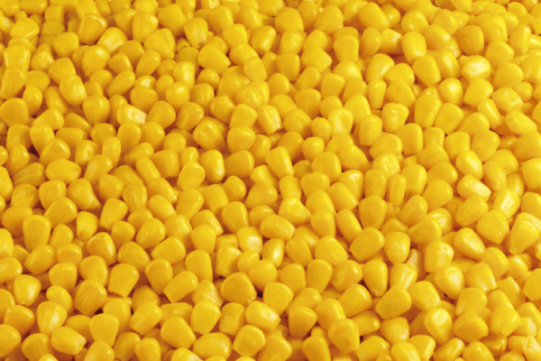 1kg Frozen Corn Kernels