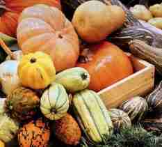 Half Pumpkins