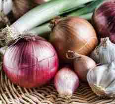 Onions