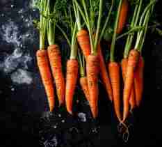 Carrots