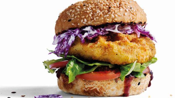 Tegel Crunchy Chicken Burgers
